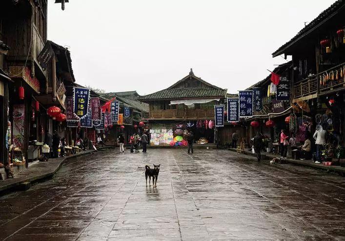 守卫木鱼